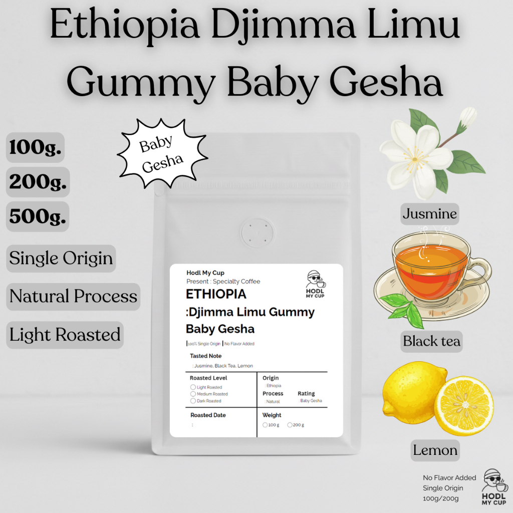 เมล็ดกาแฟ Ethiopia Djimma Limu Gummy Baby Gesha (คั่วอ่อน) Single Origin Specialty Coffee Geisha cof