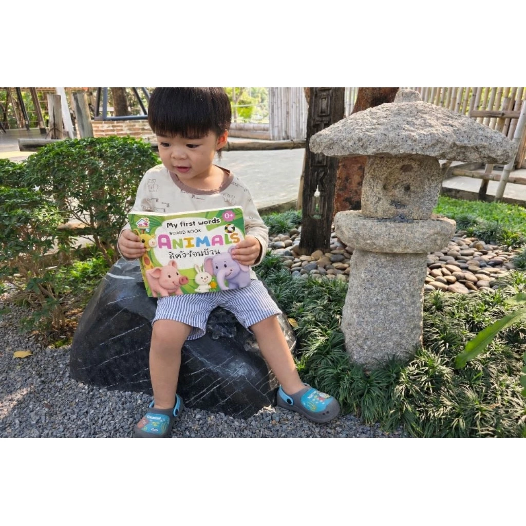 บอร์ดบุ๊คเด็กเล็ก เสริมพัฒนาการ 0-3 ปี | Board Book เด็ก | หนังสือเด็กทนทาน ฉีกไม่ขาด thumbnail 5