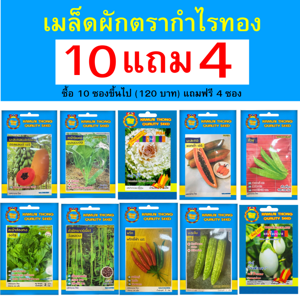 เมล็ดพันธุ์ผักสวนครัว ตรากำไลทองมังกรคู่ ซื้อ 10 ซอง (120 บาท) ขึ้นไปแถมฟรี 4ซอง