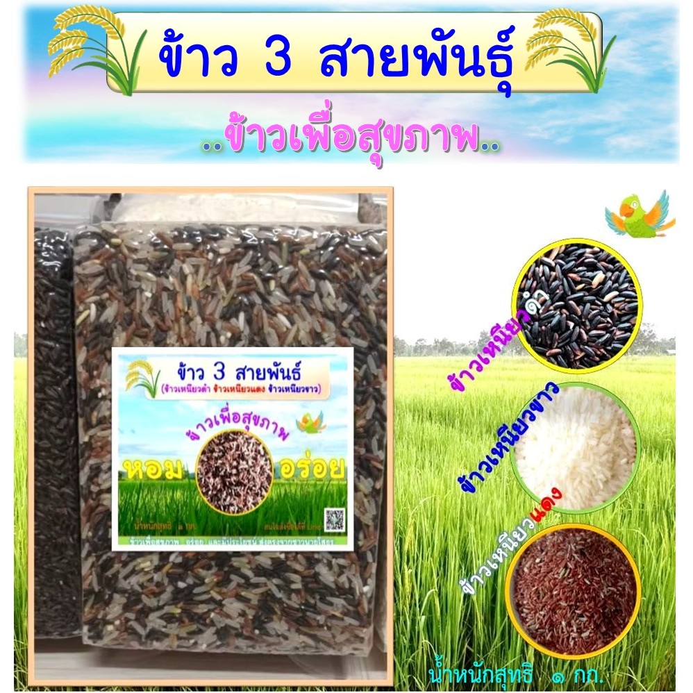 ข้าว 3 สายพันธ์ (ข้าวเหนียวดำ ข้าวเหนียวแดง ข้าวขาว) ขนาด 1 กก.