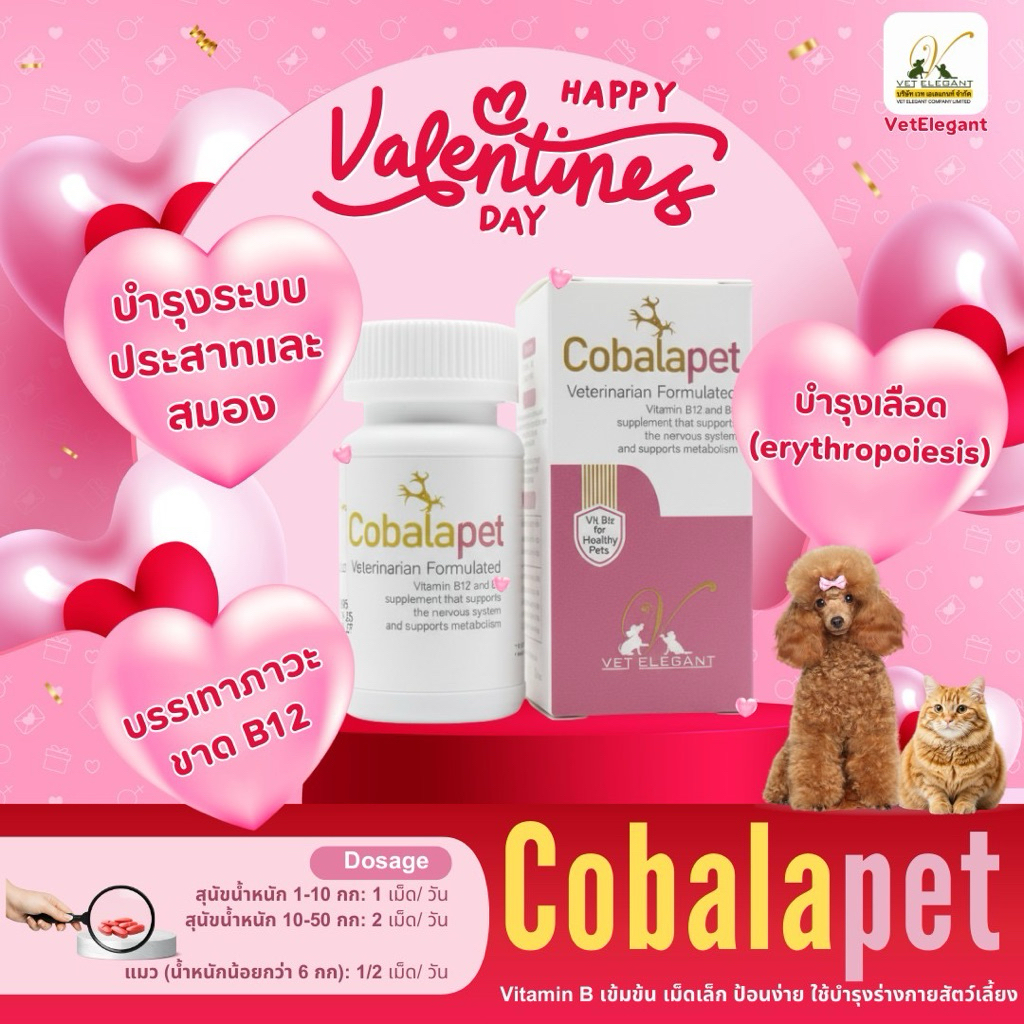 Cobalapet 30 เม็ด (Exp. 28/07/2027) ผลิตภัณฑ์วิตามินบี(บี9-12) บำรุงระบบประสาทและสมอง เม็ดเลือดแดง ตับอ่อน