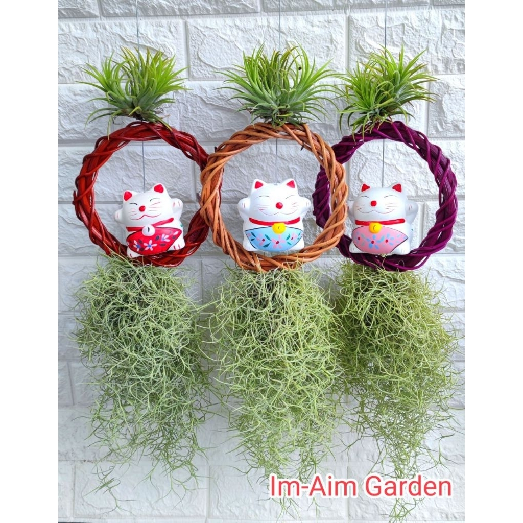 เคราฤาษีแต่ง ตุ๊กตาไซด์ใหญ่ ((ใส่วงหวายใหญ่))