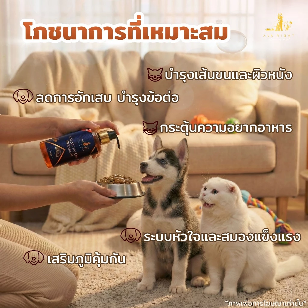 ALL RIGHT น้ำมันปลาแซลมอน สำหรับสัตว์เลี้ยง บำรุงขนผิวหนัง ช่วยเจริญอาหารสำหรับสุนัขและแมว SalmonOil thumbnail 4