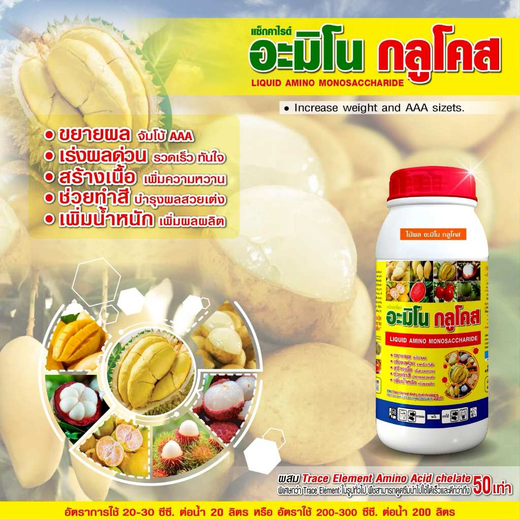 อะมิโน กลูโคส ขยายผล จัมโบ้ AAA สร้างเนื้อ เพิ่มความหวาน ช่วยทำสี ขัดสีให้เหลืองทอง ขนาด 1 ลิตร