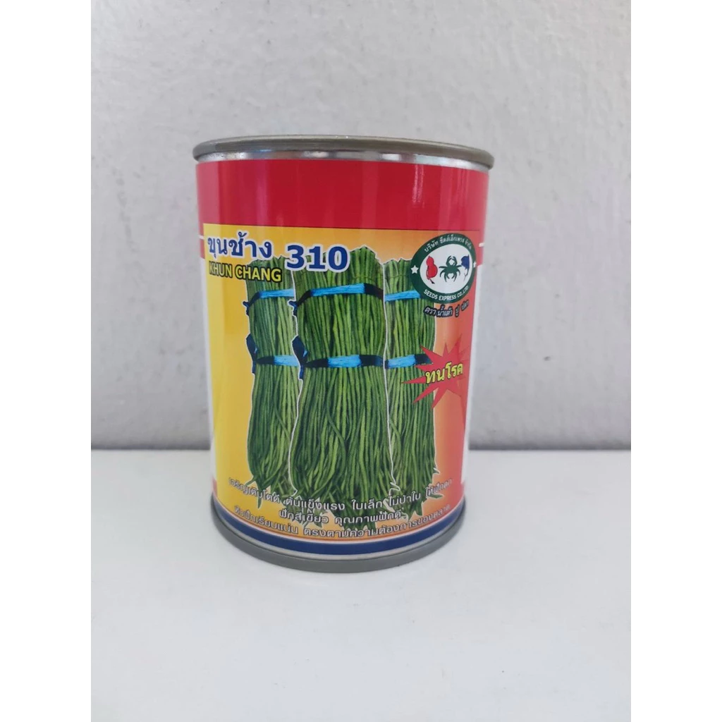 เมล็ดพันธุ์ถั่วฝักยาว เมล็ดพันธุ์ เมล็ดพันธุ์ถั่วขุนช้าง310 ขนาด 500 กรัม 450 บาท