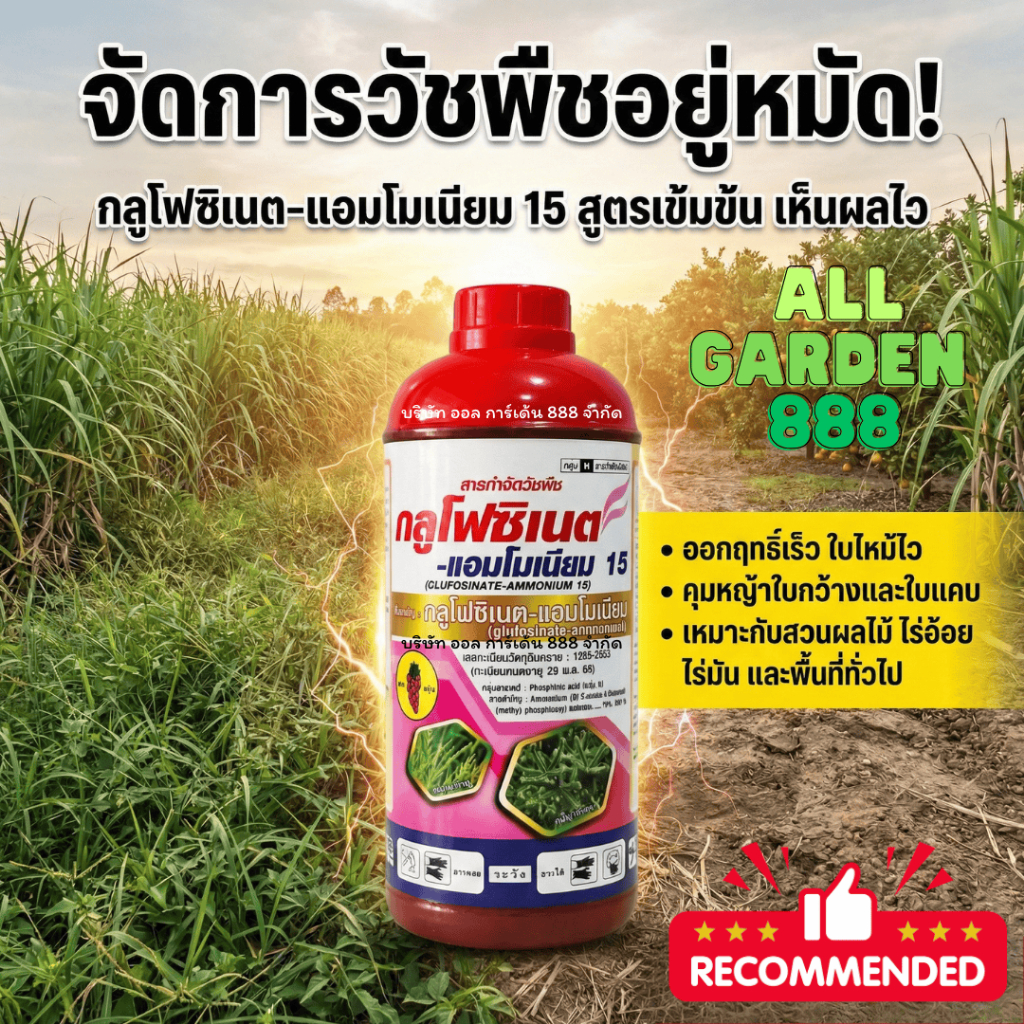 กลูโฟซิเนต-แอมโมเนียม 1ลิตร ยาฆ่าหญ้า สารกำจัดวัชพืช หญ้าใบแคบ หญ้าใบกว้าง หญ้ากก รูปที่ 4