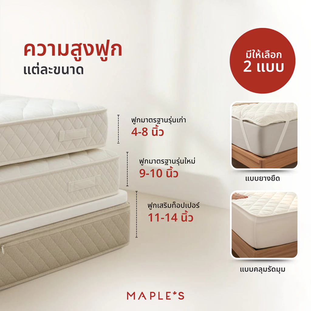 MAPLE S ผ้ารองกันเปื้อนรัดมุม กันน้ำกันรา Mattress Protector thumbnail 7