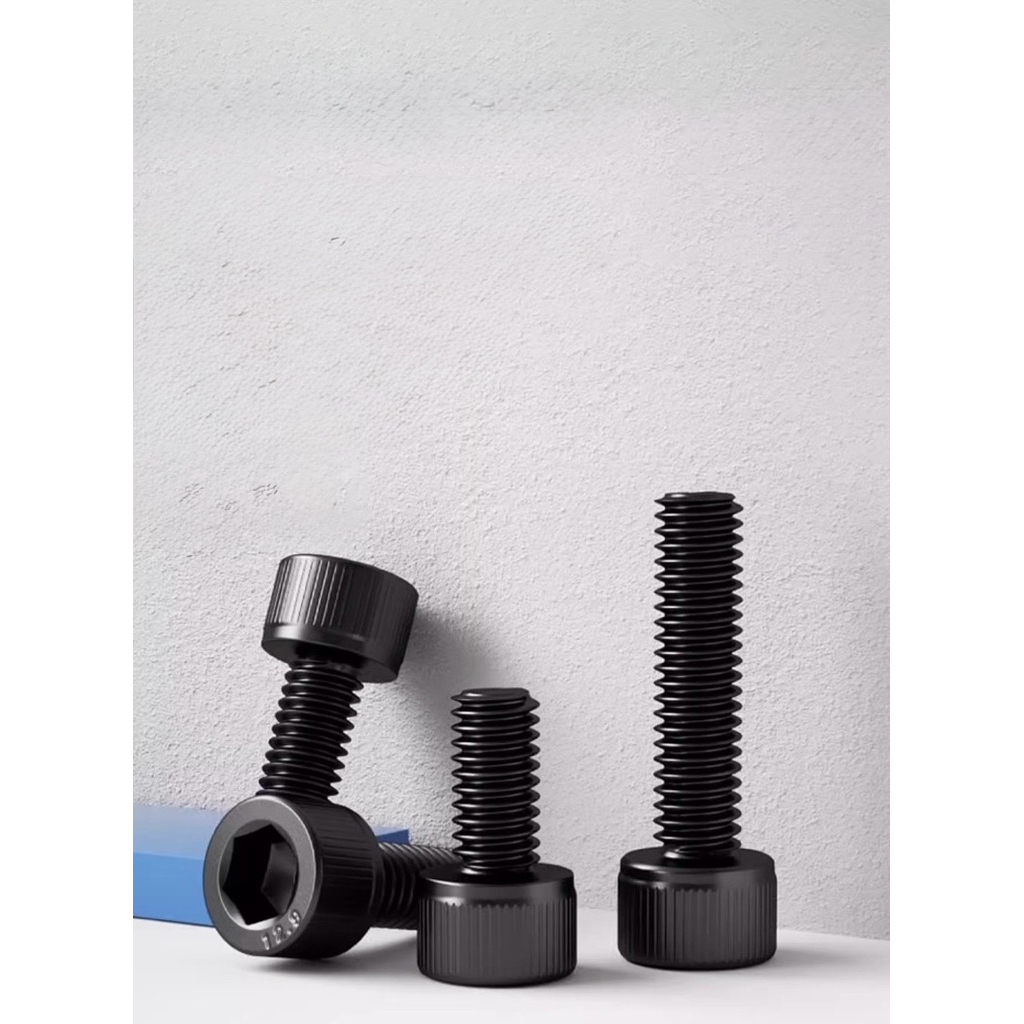 สกรูหัวจมหกเหลี่ยม สีดำ เกรด 12.9 M2 M3 M4 M5 Hex Socket Head Cap Screw น็อตดำ สำหรับ 3D Printer DIY