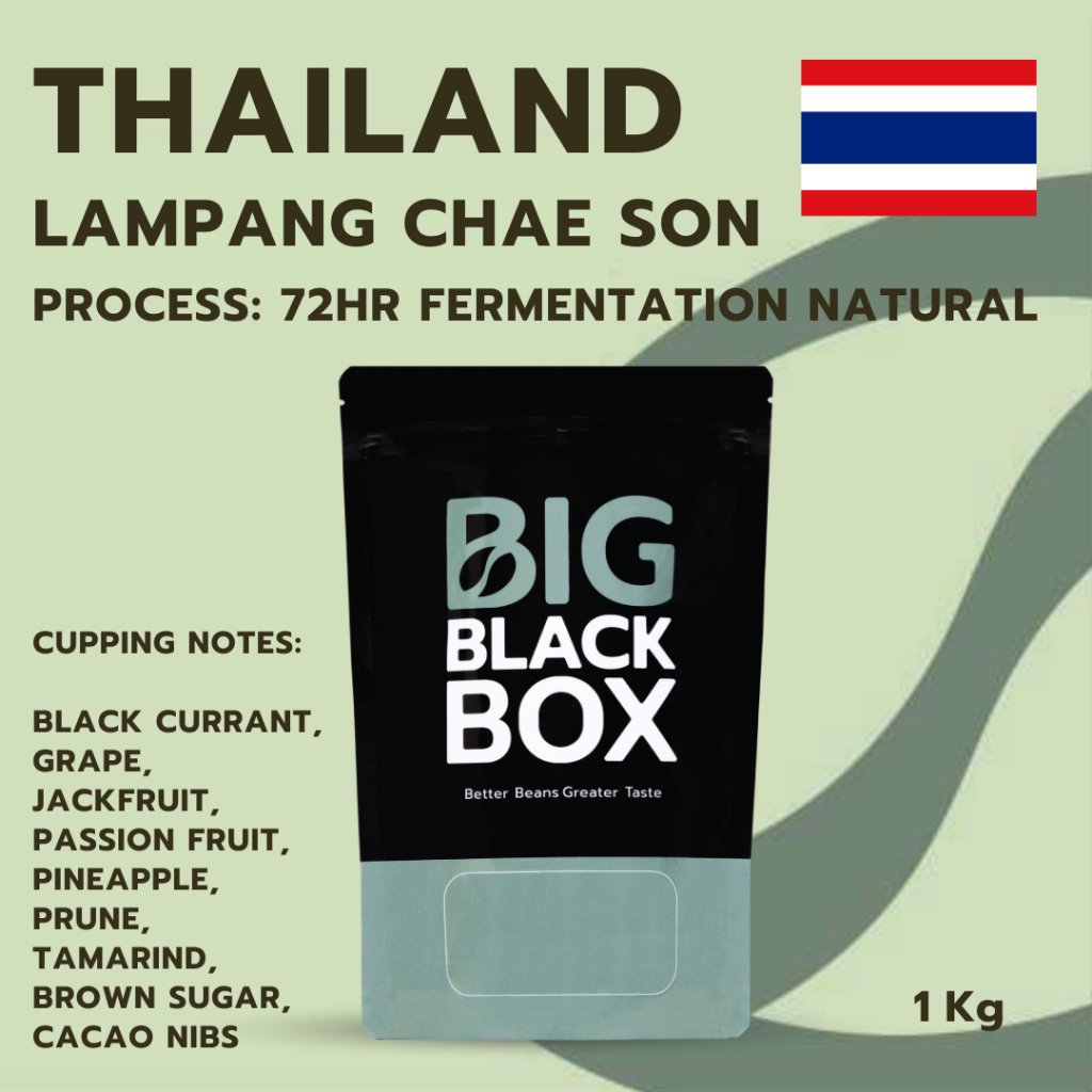 (11-AA-A1-P-N04) สารกาแฟ Thai Lampang, Chae Son 72hr Fermentation Natural 1kg