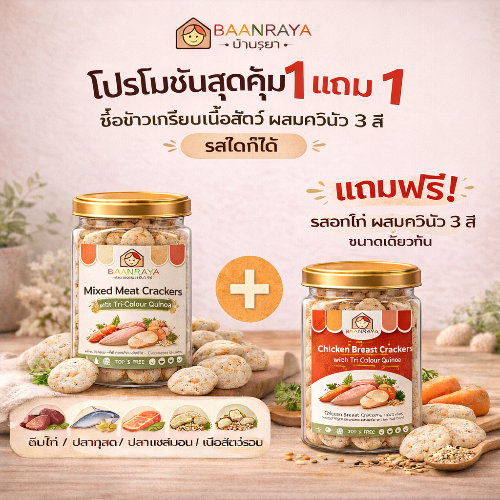 🔥*Promotion*🔥 ซื้อ 1 แถม 1 ข้าวเกรียบเนื้อสัตว์ ผสมควินัว 3 สี | ขนมเด็กไม่ปรุงรส Top 8 Free สำหรับเด็ก 9 เดือน+
