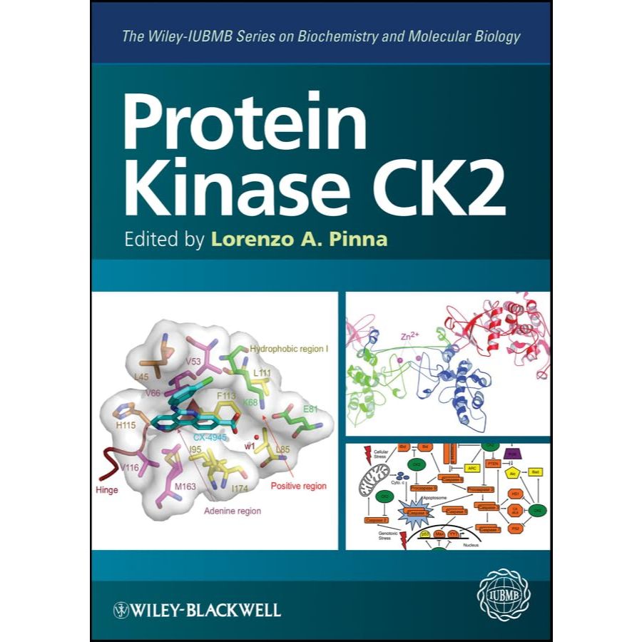 หนังสือ Protein Kinase CK2 ed 1/2013