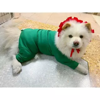 ชุดเก็บขน wonder dog เสื้อสุนัข เสื้อแมว ชุดกันขนร่วง ชุดหมาชุดแมว โทนเขียว ตารางไซส์เลื่อนขวานะคะ