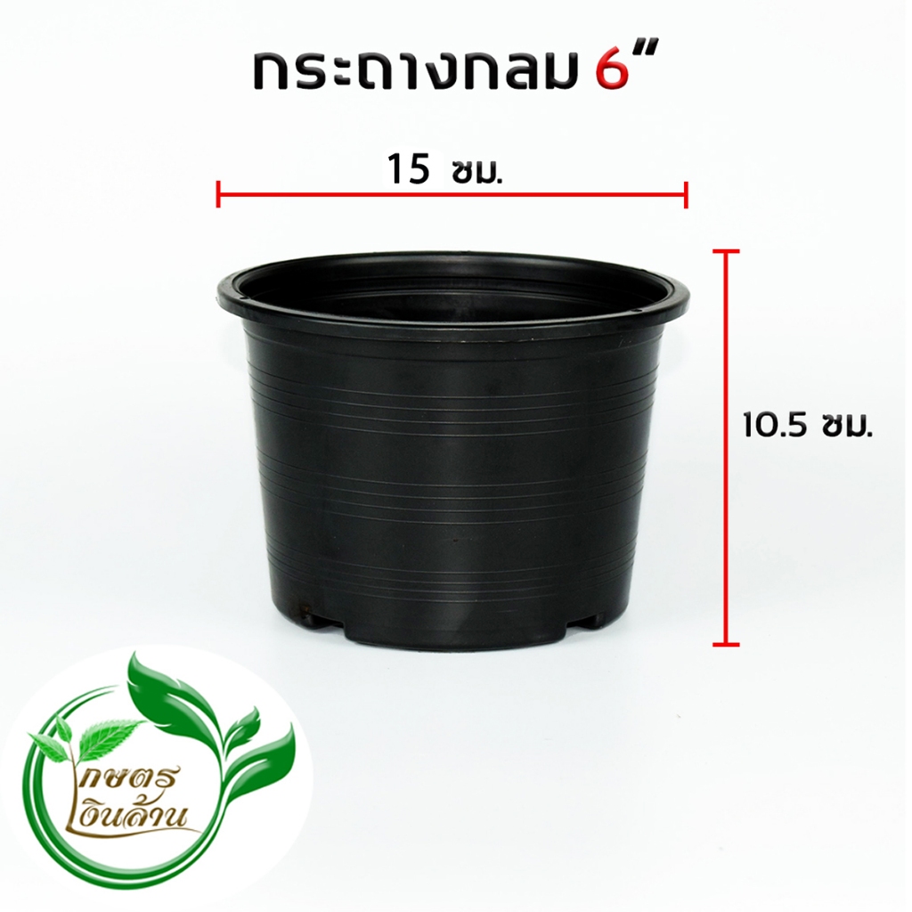 [6"เต็มไม่ลักไก่]กระถาง 6 นิ้ว 30ใบ 99บาท แตกเคลม100% By.คิม เกษตรเงินล้าน