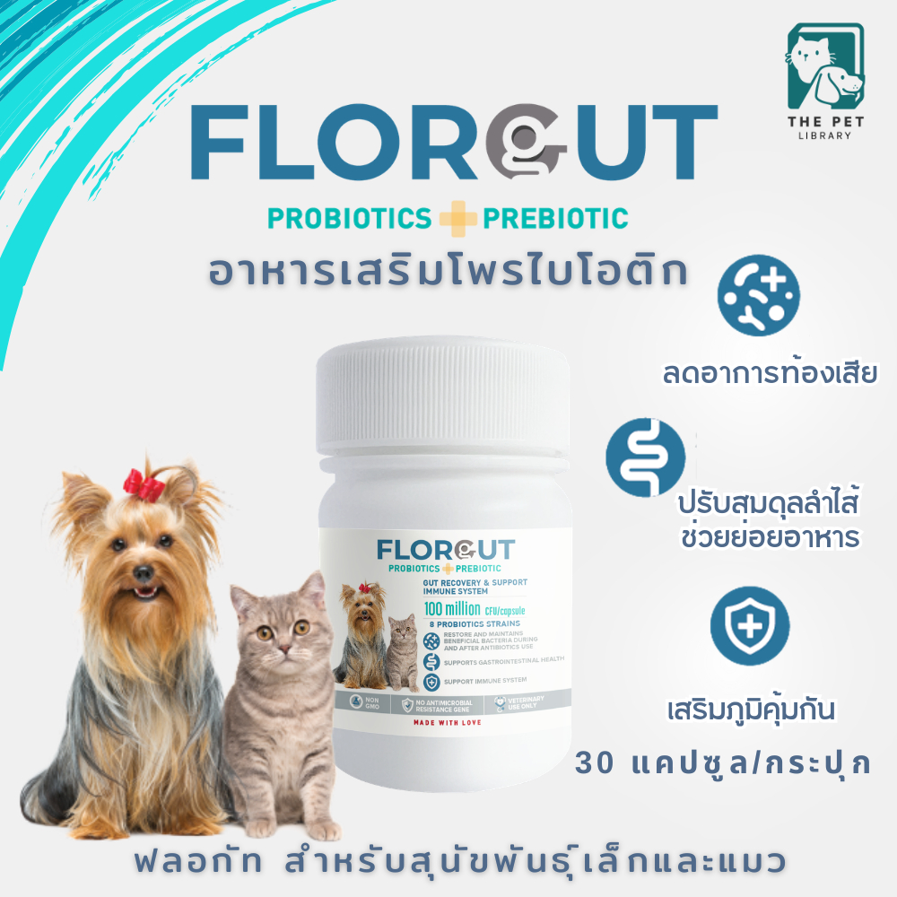 อาหารเสริมสุนัข แมว โพรไบโอติก พรีไบโอติก FlorGut S ฟลอกัท สำหรับสุนัขพันธุ์เล็กและแมว 30 แคปซูล ลดท้องเสีย