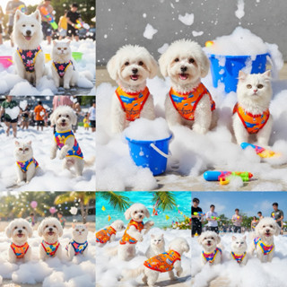 เสื้อแขนกุด หมาแมว ตรีมสงกราต์ สีสันสดใส พร้อมส่ง