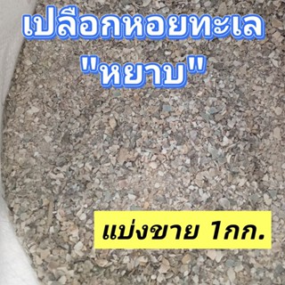 เปลือกหอยทะเล หยาบ แคลเซี่ยมสำหรับสัตว์ แบ่งขาย 1กก.