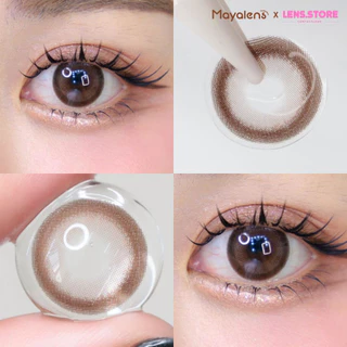 คอนแทคเลนส์รายวัน Mayalens 1D Mood Caramel Brown มู้ดคาราเมล สีนำตาลชานม ตัดขอบสีคาราเมล
