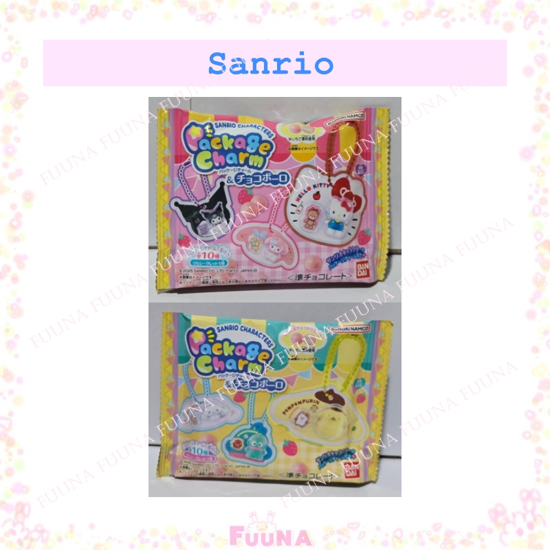 Sanrio Characters Package Charm & Choco Boro - พวงกุญแจซองสุ่มจิ๋วพร้อมขนม จากญี่ปุ่น