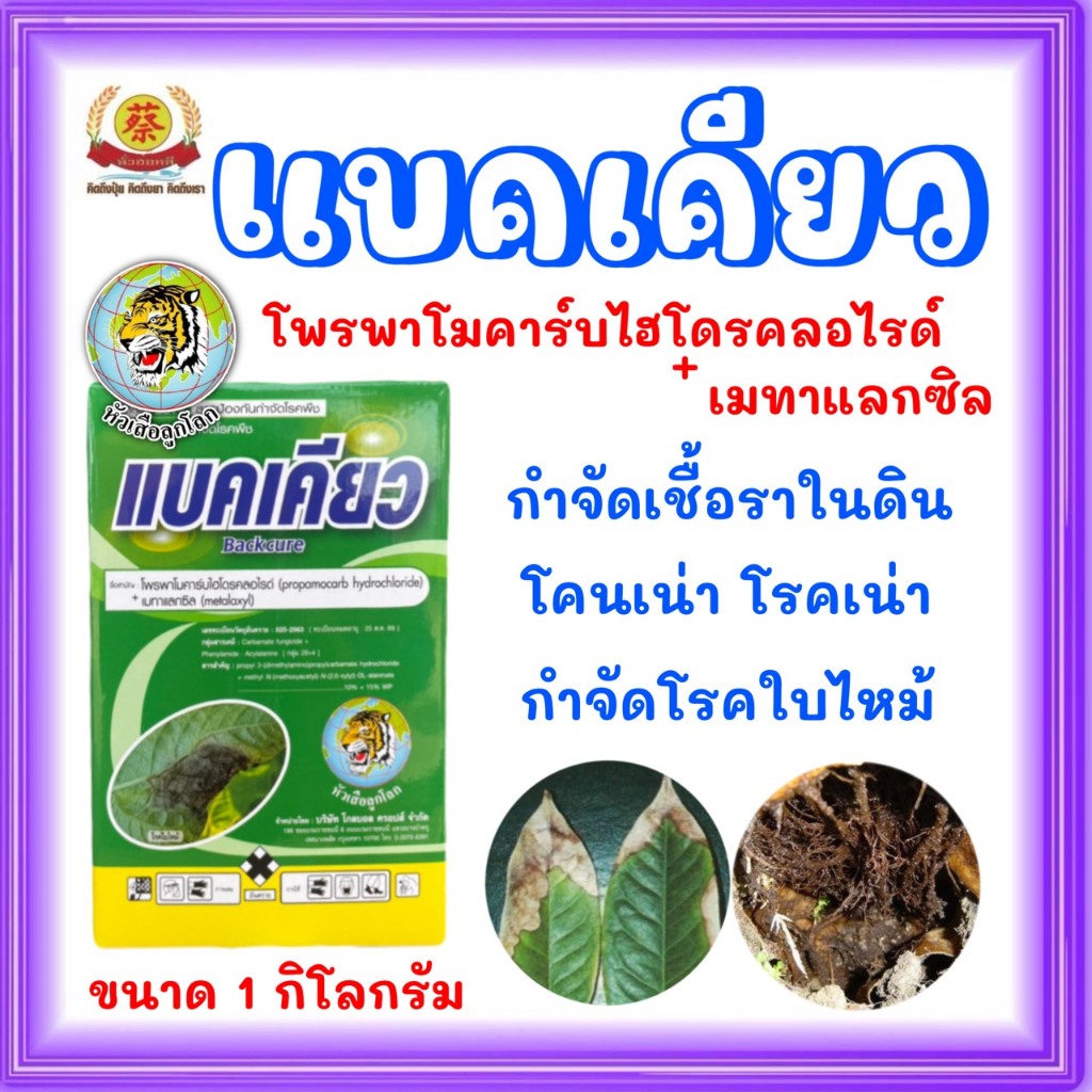 แบคเคียว1ก.ก(โพรพาโมคาร์บไฮโดรคลอไรด์+เมทาแลกซิล)โคนเน่ารากเน่าเชื้อราใต้ดิน ขนาด 1 กิโลกรัม