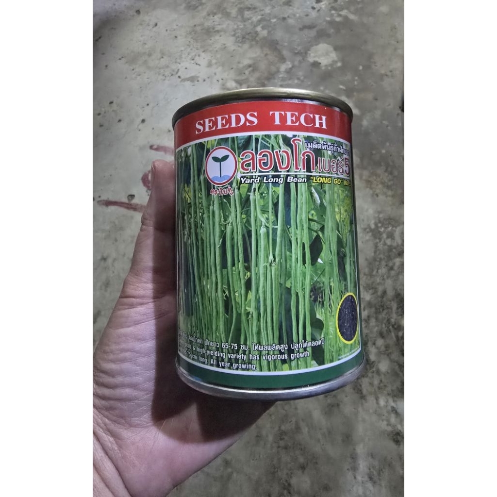 เมล็ดถั่วฝักยาว ลองโก เบอร์ 5 ขนาด 100 กรัม ตรา ใบคู่ ฝักเขียว ดก ฝักยาว หายากคะ สำหรับเพาะปลูก
