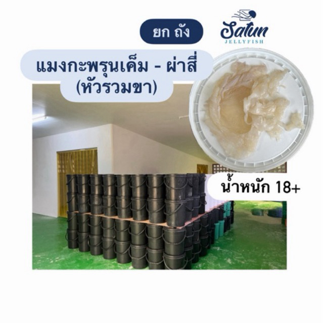 แมงกะพรุนเค็ม ผ่าสี่ หัวรวมขา ยกถัง