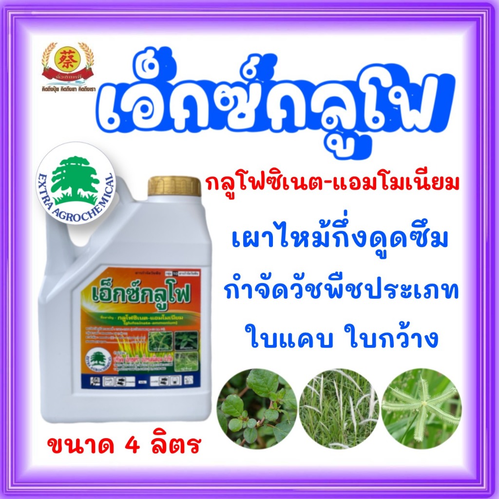 เอ็กซ์กลูโฟ กลูโฟซิเนตแอมโมเนียม 4ลิตร กำจัดวัชพืชใบแคบและใบกว้าง (ส่งฟรี)