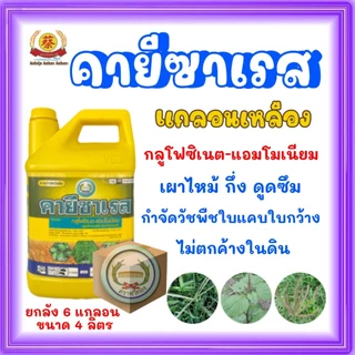คายีซาเรส *แกลอนสีเหลือง* **ยกลัง 6 แกลลอน** (กลูโฟซิเนต-แอมโมเนียม)