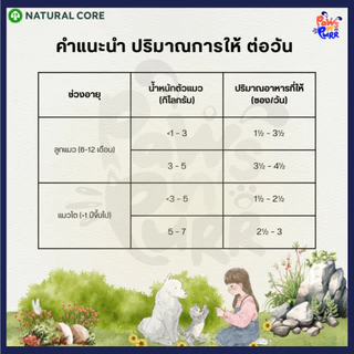 Natural Core Twin Pouch อาหารเปียกแมว 2 รสชาติ ในคู่เดียว (80g/คู่)