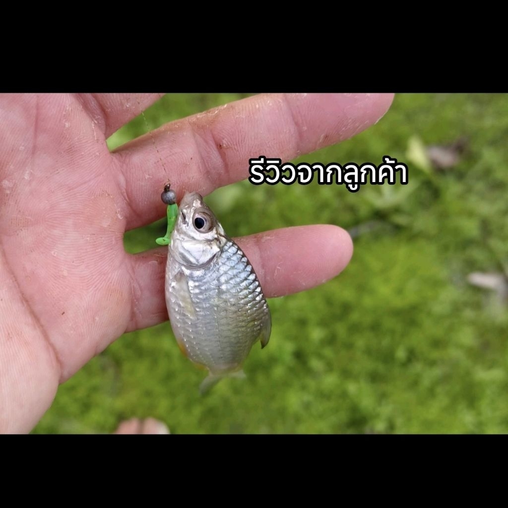 Thumbnail 6