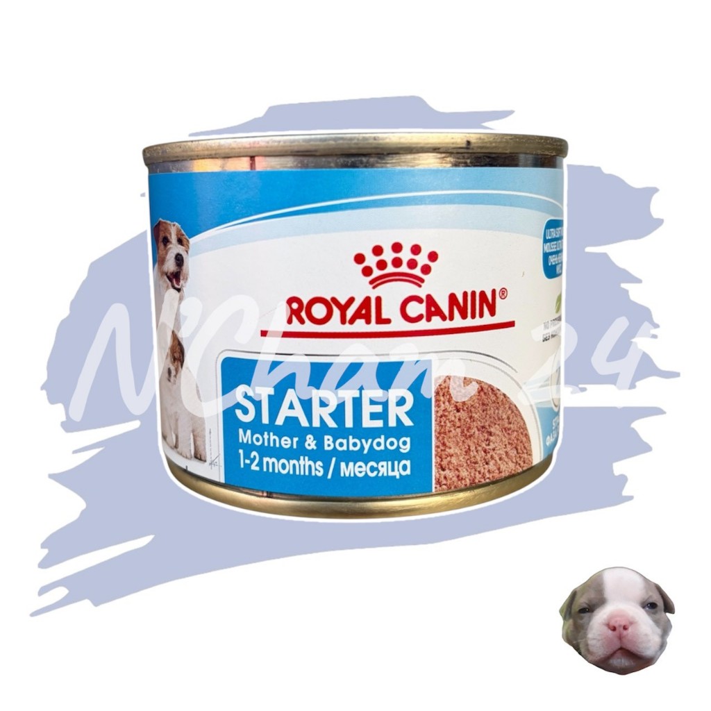 Royal​ Canin​ ​Starter​ Mousse 195g x 1 กระป๋อง​ อาหารเหลวสุนัขกระป๋องสุนัข​