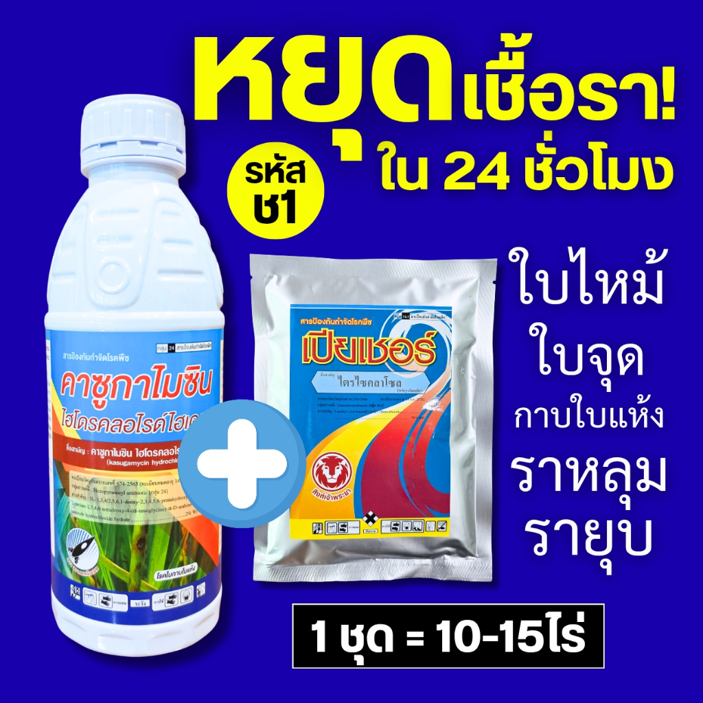 ชุดเชื้อรา (รหัส ช1) ป้องกัน+รักษา เชื้อราแบคทีเรีย หยุดลามภายใน 24 ชม. โรคใบไหม้ ใบจุด ราหลุม รายุบ เน่าคอรวง