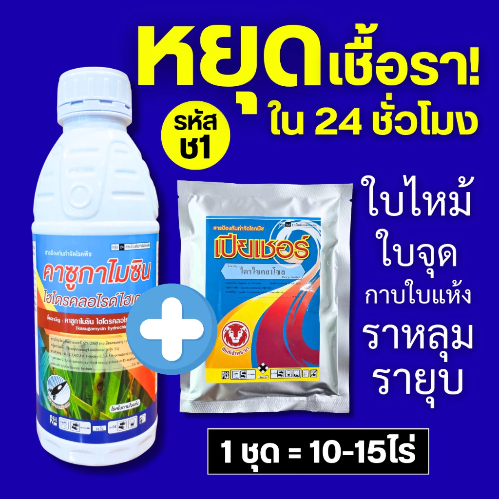 ชุดเชื้อรา (รหัส ช1) ป้องกัน+รักษา เชื้อราแบคทีเรีย หยุดลามภายใน 24 ชม. โรคใบไหม้ ใบจุด ราหลุม รายุบ เน่าคอรวง