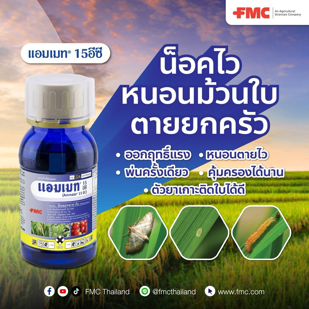 FMC แอมเมท (อินด๊อกซาคาร์บ) ยาหนอน ยาแมลง | 250 ซีซี