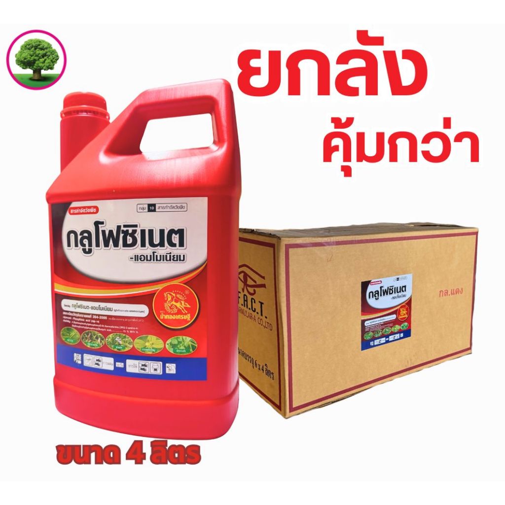 กลูโฟซิเนต ตราม้าทองเศรษฐี ขนาด 4 ลิตร (แกลลอนแดง) *ยกลัง* มี 6 แกลลอนใหม่-น้ำเขียว