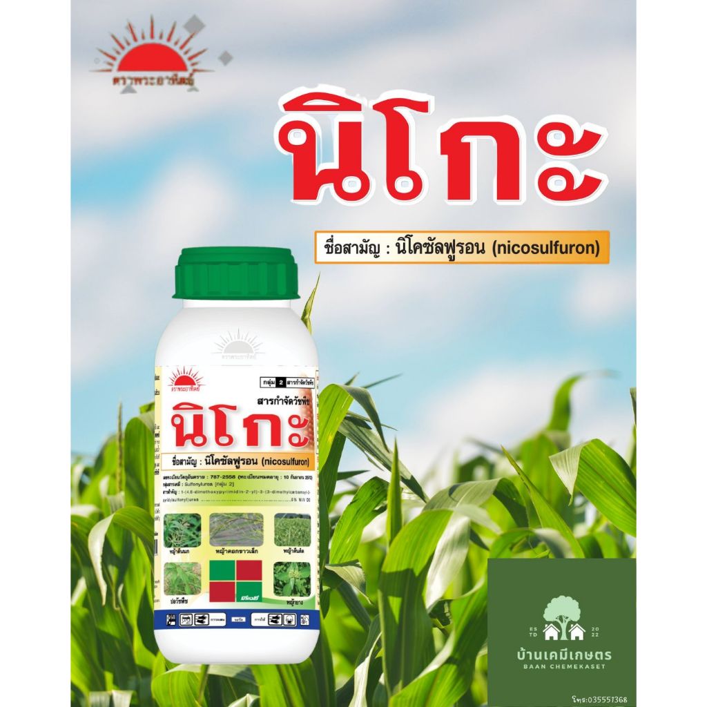 นิโกะ 500 สารกำจัดวัชพืชในข้าวโพด