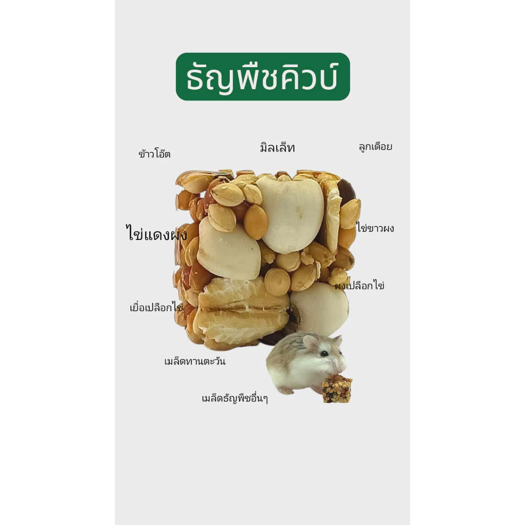 ขี้เลื่อยธรรมชาติ 100% สำหรับสัตว์เลี้ยง แฮมสเตอร์ 14 บาท thumbnail 3