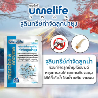อูเมะไลฟ์ กำจัดลูกน้ำยุง 100g จุลินทรีย์กำจัดลูกน้ำยุง เห็นผลใน 24 ชั่วโมง กำจัดลูกน้ำได้ไว