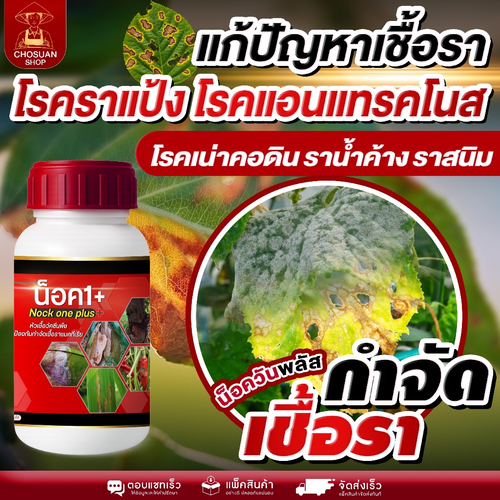 น็อควันพลัส แก้ปัญหาเชื้อราในพืช โรคราแป้ง โรคแอนแทรคโนส โรคเน่าคอดิน ราน้ำค้าง ราสนิม จบปัญหาเชื้อรา ไม่ดื้อยา ออกฤทธิ์