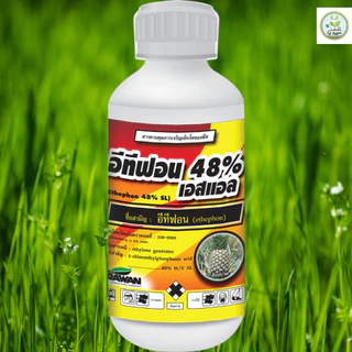 อีทีฟอน 48% ขนาด 1 ลิตร เร่งสุก บ่มผลไม้ ป้ายขั้วเร่งสุก เร่งน้ำยาง (เอราวัณ) #แอลเจอะโกร