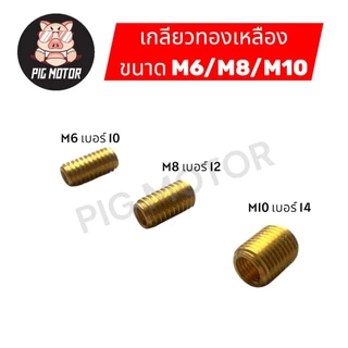เกลียวทองเหลือง M6/M8/M10 ตัวหนอนซ่อมเกลียวทองเหลือง น็อตซ่อมเกลียว ตัวนอนทำเกลียว