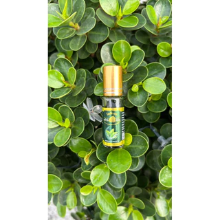 🌿✨ หอมแรง ติดนาน ลูกกลิ้งน้ำมันเขียวโพธิ์ทอง5cc.หอมนานพิมเสนน้ำ