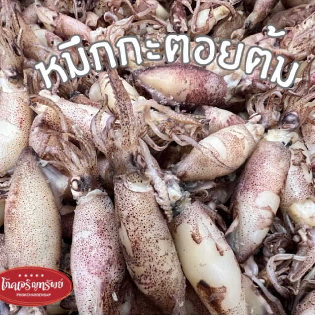 หมึกกะตอยต้ม🐙หมึกกะตอยแห้ง หมึกกะตอยไข่นิดๆ หมึกแห้ง สดใหม่
