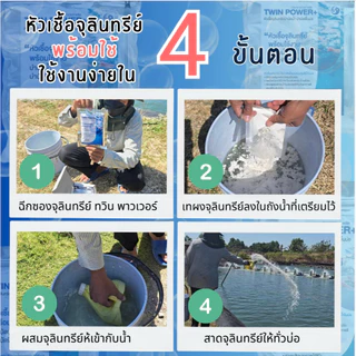 จุลินทรีย์ น้ำใส สำหรับบ่อปลาสวยงาม
