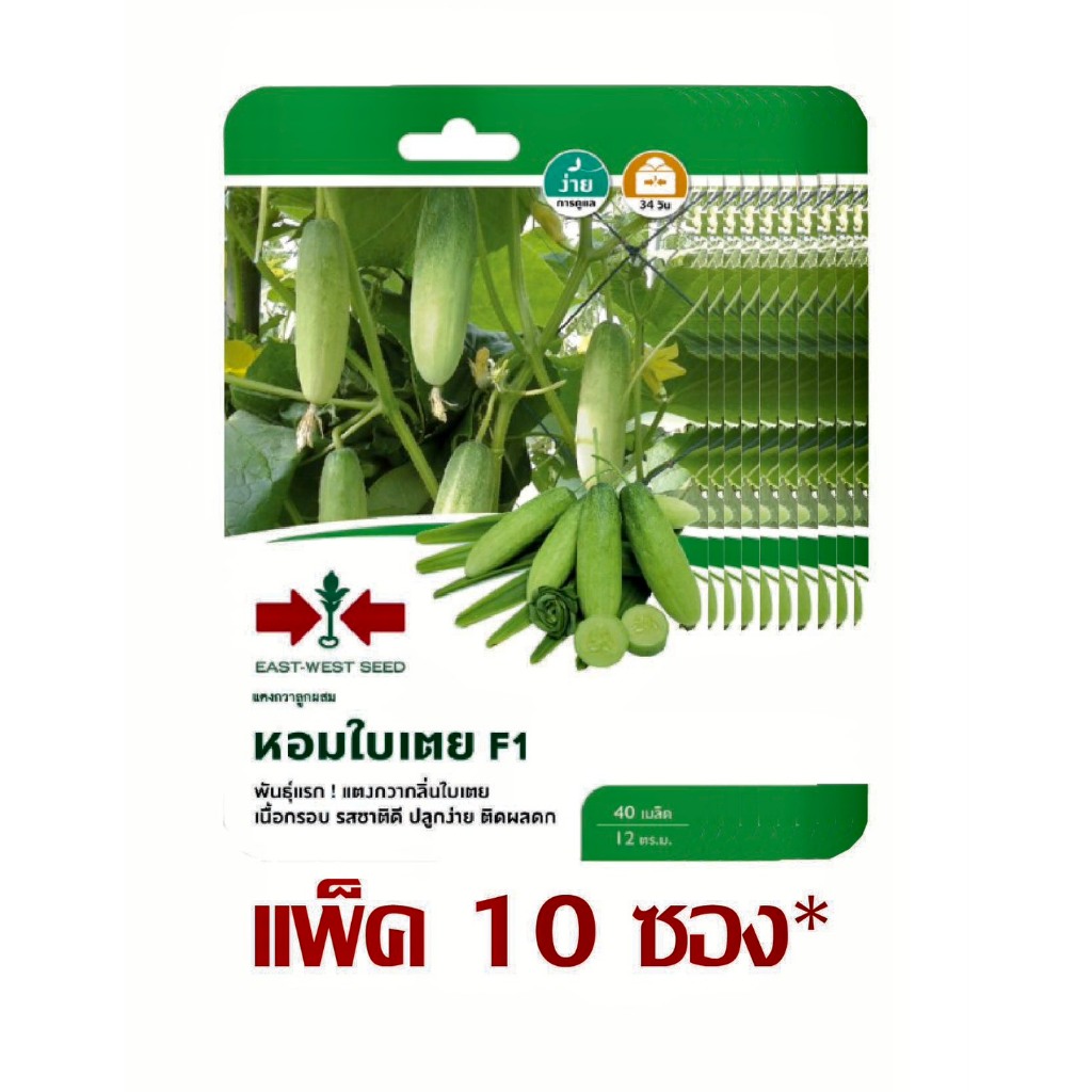 เมล็ดพันธุ์ แตงกวาลูกผสม หอมใบเตย F1 40 เมล็ด ตราศรแดง (ยกแพ็ค 10 ซอง)