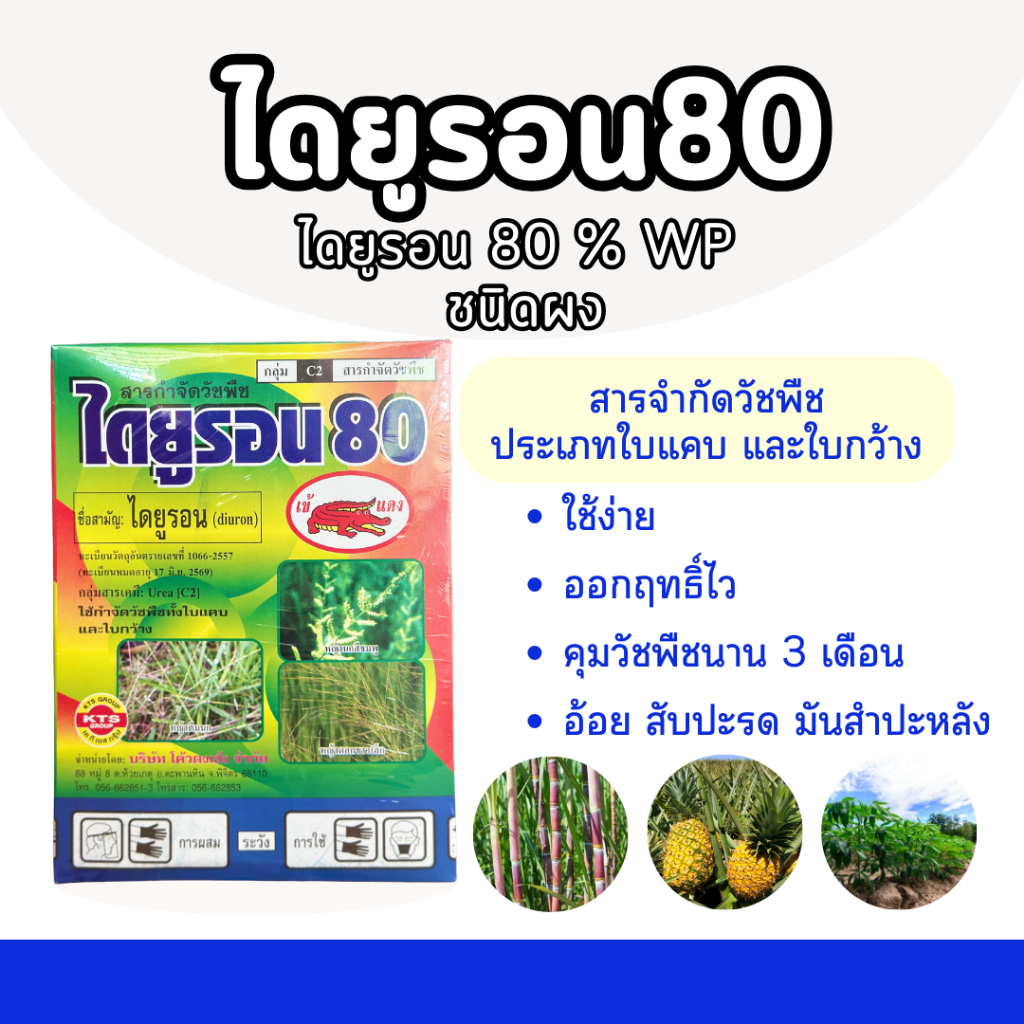 ไดยูรอน80 ขนาด 1 กิโลกรัม ชนิดผง สารกำจัดวัชพืชใบแคบและใบกว้าง หญ้าปากควาย ผักโขม หญ้าแห้วหมู ไร่อ้อย ไร่สับปะรด ไร่มัน