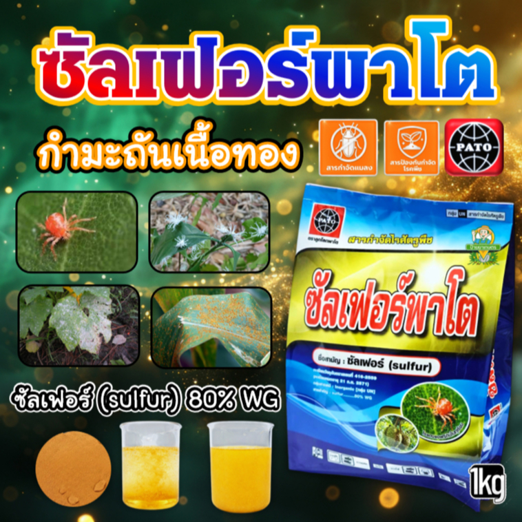 ซัลเฟอร์พาโต 1 กิโลกรัม กำมะถันเนื้อทอง 80% WG แก้ปัญหา ไรแดง ไรแดงมะม่วง เพลี้ยไก่แจ้ ราสนิม ราแป้ง