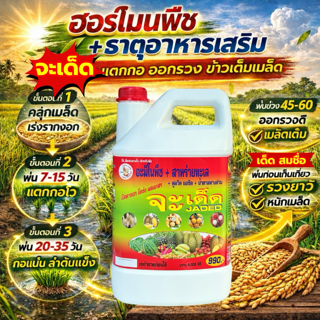 จะเด็ดสำหรับ นาข้าวอะมิโน นํ้าตาลทางด่วน สาหร่ายทะเล อาหารพืช ฮอร์โมนพืช