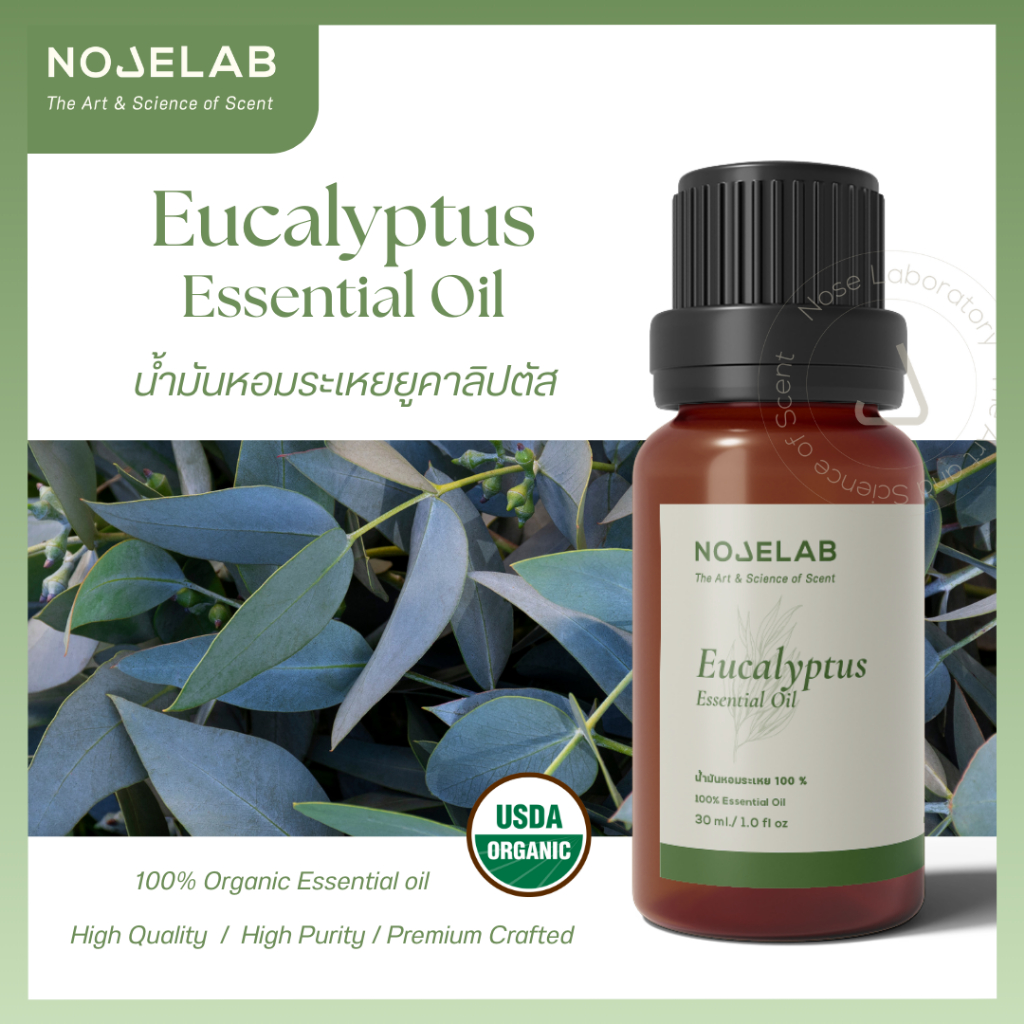 Globulus Eucalyptus Essential Oil 100% (น้ำมันหอมระเหย ยูคาลิปตัส) – บริสุทธิ์ เข้มข้น เพื่อการหายใจที่โล่งโปร่งสบาย