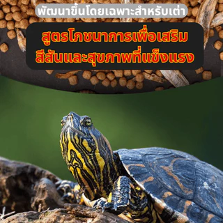 อาหารเต่า fujimi สารอาหารครบถ้วน ผสมอาหารเม็ด กุ้งแห้ง ปลาแห้ง หนอนนกแห้ง อาหารเต่าน้ำ เต่าญี่ปุ่น🐟🦐🐛🐢