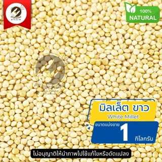 มิลเล็ต ขาว White Millet ธัญพืช Seed (ขนาดแบ่งขาย)สําหรับนกหลายชนิด รวมทั้งนกหงส์หยก, นกเลิฟเบิร์ด, นกค็อกคาเทล, นกฟินช์